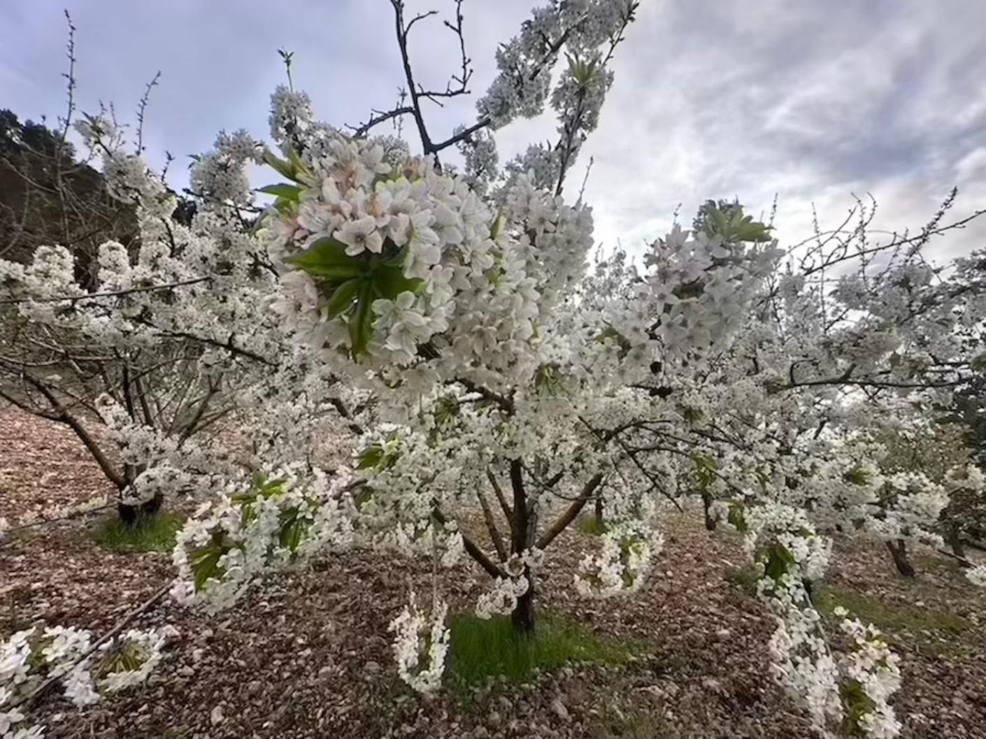 Agriturismo Serra Moneta Santo Stefano Quisquina Zewnętrze zdjęcie